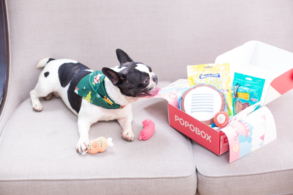 Good Dog Treat Box