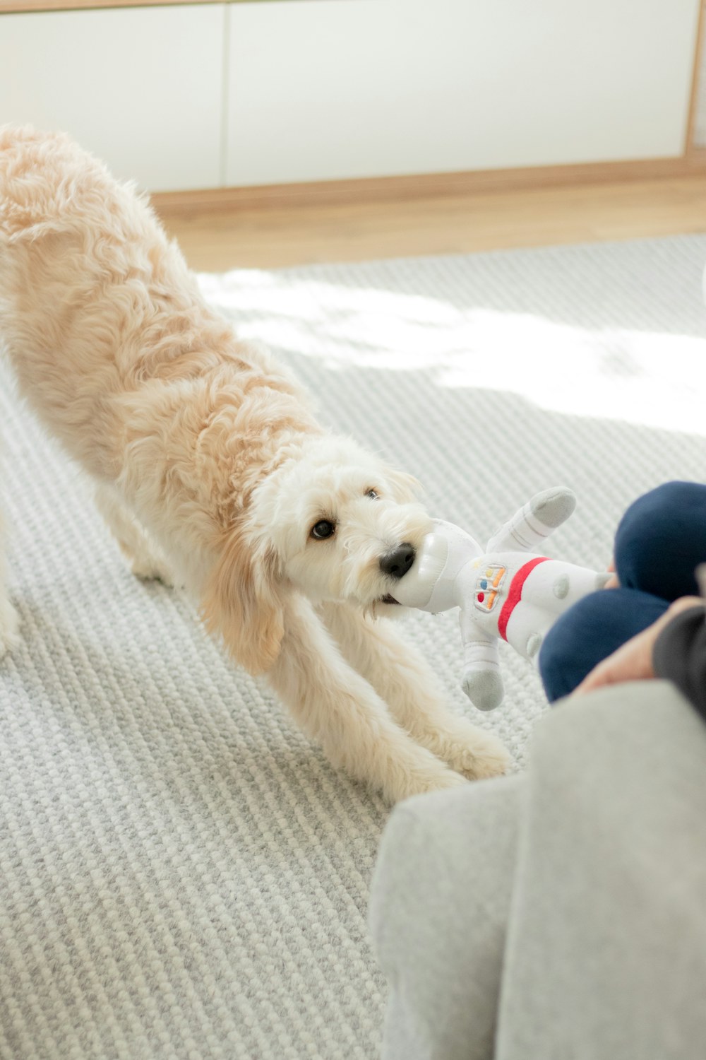 The Wiggle Rope